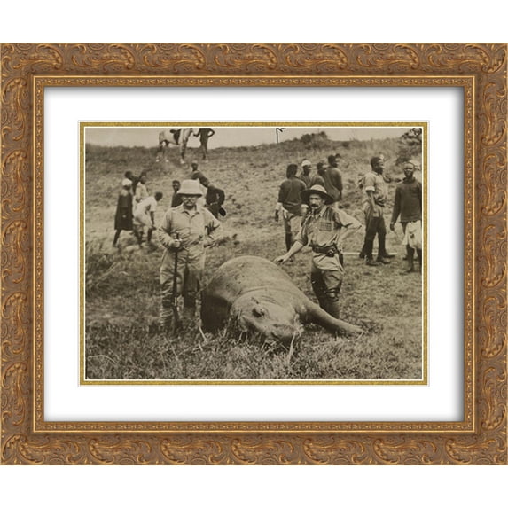 Theodore Roosevelt standing with a rifle next to a dead hippopotomus 24x20 Double Matted Gold Ornate Framed Art Print