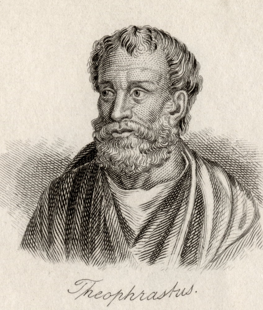 Theophrastus 372Bc-287Bc Greek Philosopher And Naturalist Engraved By JWCook Canvas Art - Ken Welsh Design Pics (26 x 30)