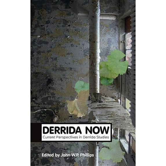 Theory Now: Derrida Now: Current Perspectives in Derrida Studies (Hardcover)