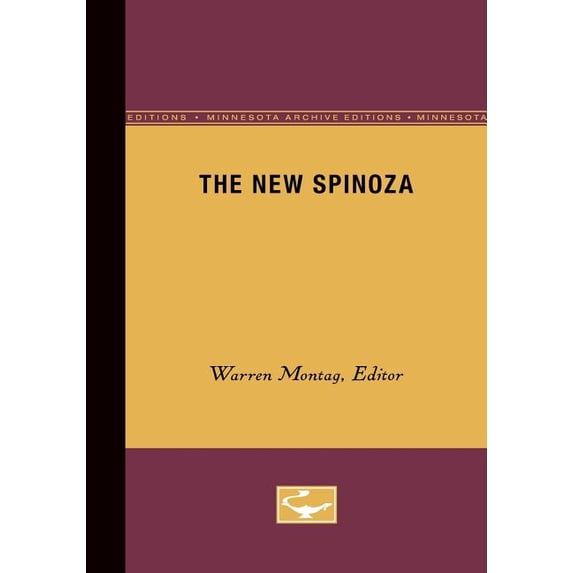 Theory Out of Bounds The New Spinoza: Volume 11, Book 11, (Paperback)