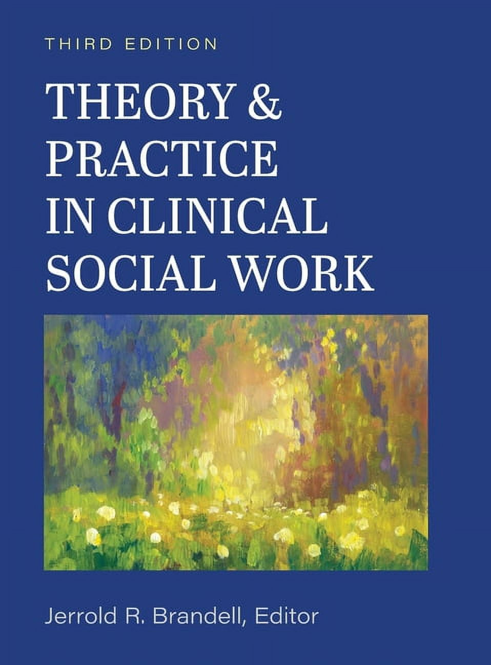 Theory and Practice in Clinical Social Work, (Hardcover) - Walmart.com