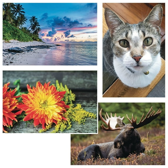 Thera-Jigsaw™ Foam Puzzles Set: Beach Sunset, Cat, Moose, and Yellow Flowers (Set of 4)