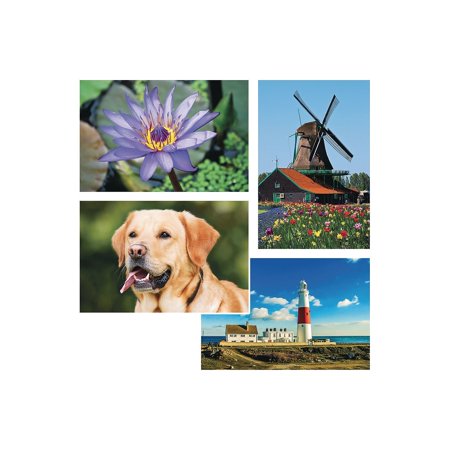 S&S 24-Piece Thera Jigsaw Foam Puzzle 4 Puzzles/Set (19211)