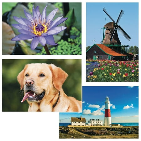 Thera Jigsaw Foam Puzzle Set 5 Set Of 4