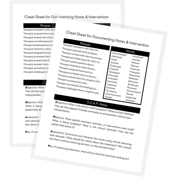 Therapy Notes and Intervention Cheat Sheet  2 Laminated Sheets  8.5 x 11" A1 Forms  Therapy Supplies  Minimalist Design