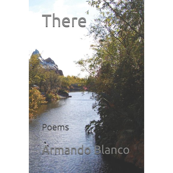 There : Poems (Paperback)