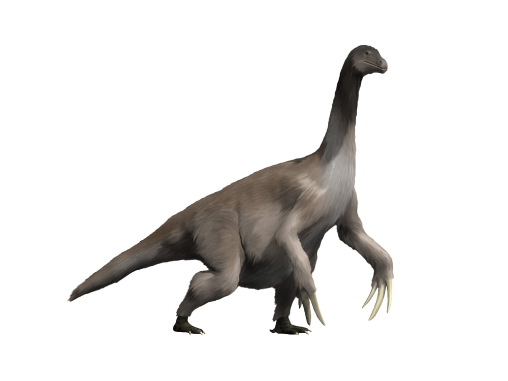Therizinosaurus dinosaur Canvas Art - Nobumichi TamuraStocktrek Images (17 x 13)