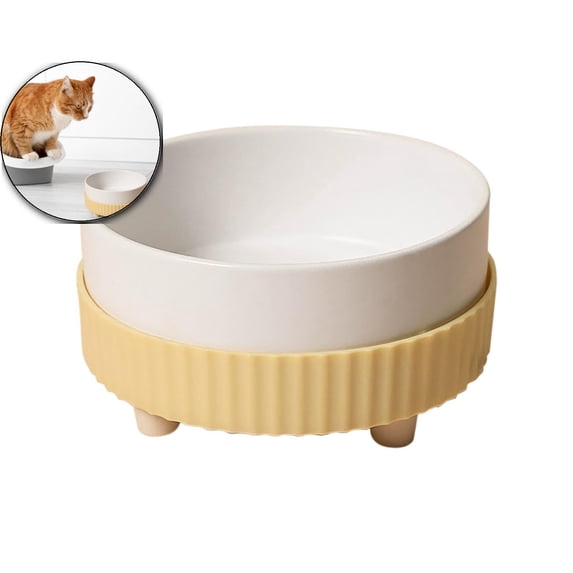 Thermal Dog Bowl - 350ML Heated Water Bowl for Dogs & Cats, Keeps Drinkable Water Warm in Winter