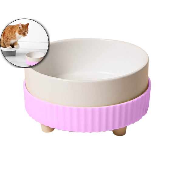 Thermal Dog Bowl - 350ML Heated Water Bowl for Dogs & Cats, Keeps Drinkable Water Warm in Winter