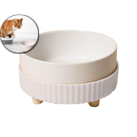 Thermal Dog Bowl - 350ML Heated Water Bowl for Dogs & Cats, Keeps Drinkable Water Warm in Winter