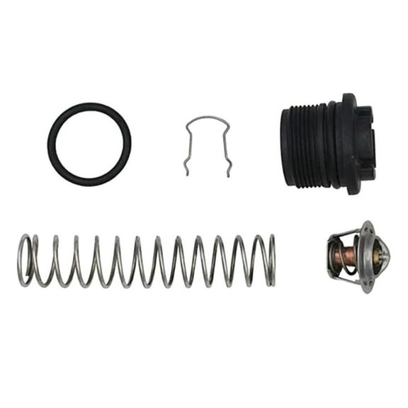 Thermal Regulator 77707-0010 Accessories for Pool and SPA Heater