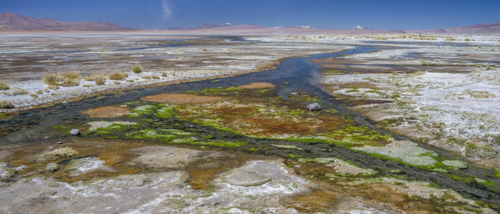 Thermal spring drained into Laguna Salada in the high altiplano Potosi Department Bolivia Canvas Art - Panoramic Images (36 x 12)
