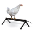 thumbnail image 1 of Thermo Heated Chicken Perch for Coop, Warming Chicken Heater, Prevents Frozen Toes, Warm Coop Accessories, Lamp , Safety Listed - Small 26” Black, 1 of 8