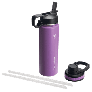 Simple Modern Kids Summit Sippy Cup Thermos 10 oz - Stainless Steel Toddler  Water Bottle Vacuum Insulated Girls and Boys Hydro Travel Cup Flask -Solar  System Purple 