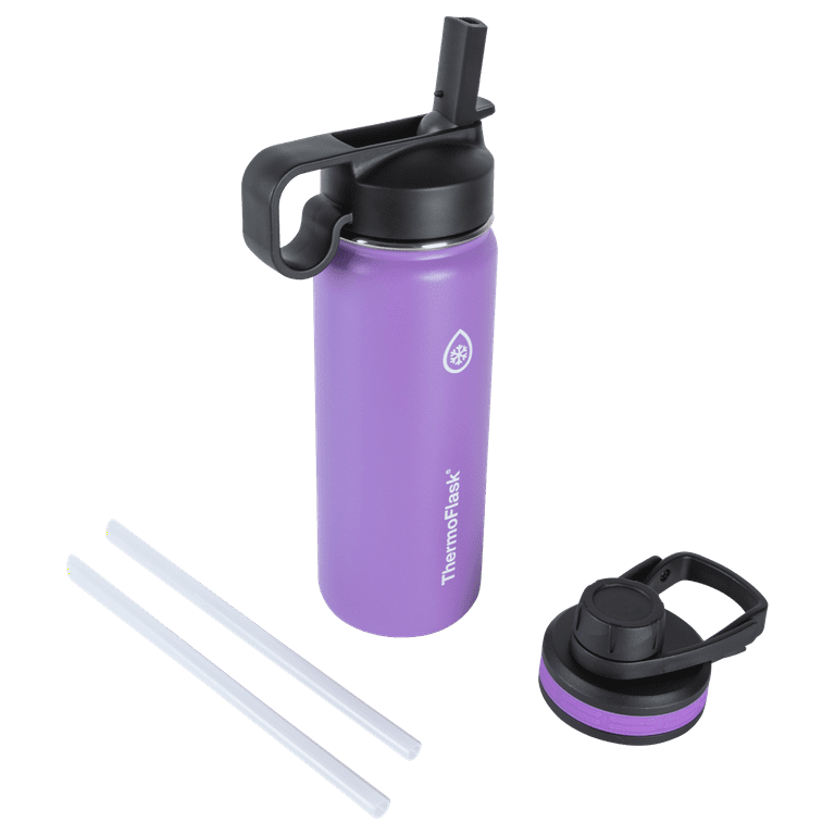 Thermoflask Stainless Steel Kids 14oz Straw Bottle 2pk Punch,Eggplant