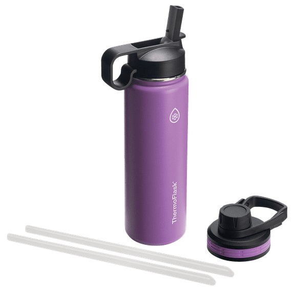 Thermoflask Combo Chug and Straw Lid, 24oz Plum