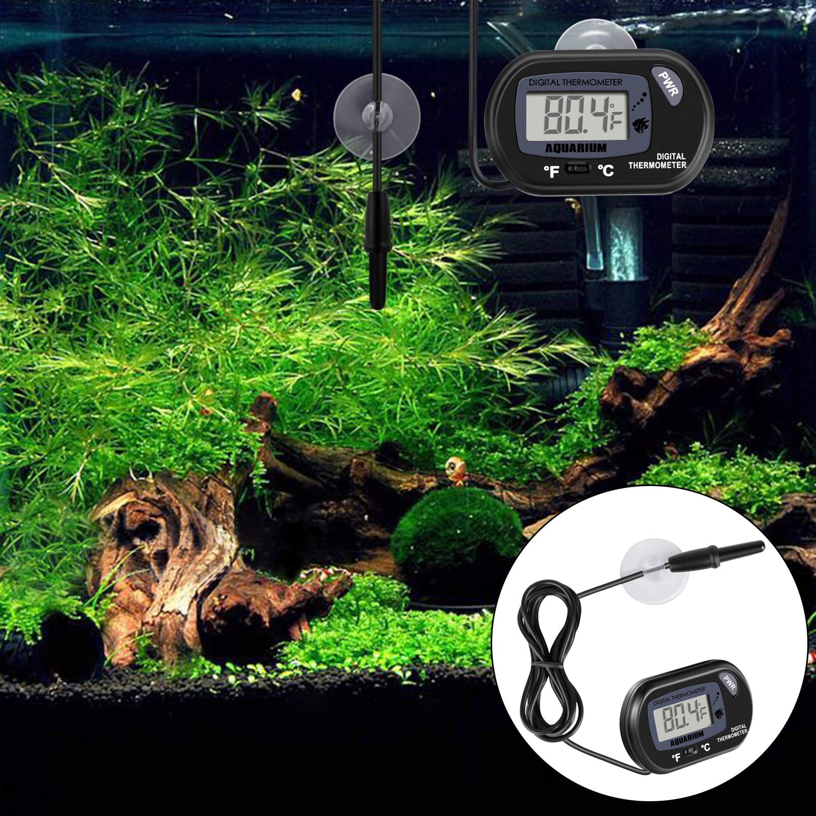 Indoor Thermometers Thermometer For Kids Forehead Aquarium Thermoscope & Turtles Suction Cup