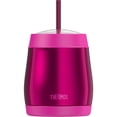 thumbnail image 1 of Thermos 16 oz. Vacuum Insulated Stainless Steel Cold Dome Water Bottle w/ Straw, 1 of 3