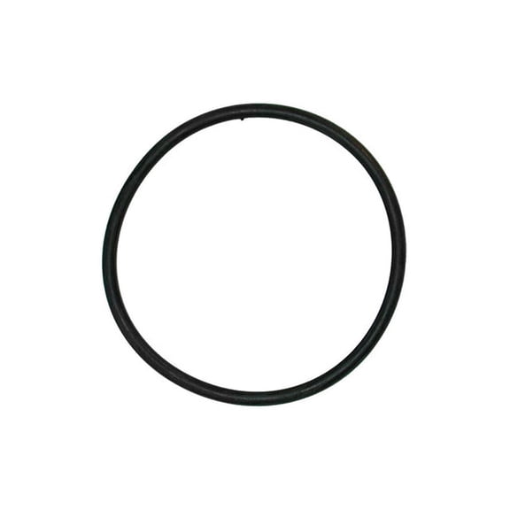 Thermostat O-Ring - Compatible with 2003 - 2005 Land Rover Range Rover 2004