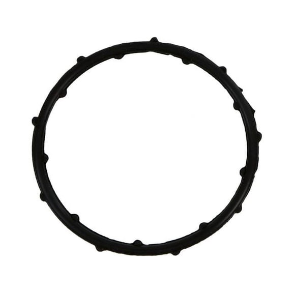 Thermostat O-Ring - Compatible with 2011 - 2019 Dodge Journey 3.6L V6 2012 2013 2014 2015 2016 2017 2018