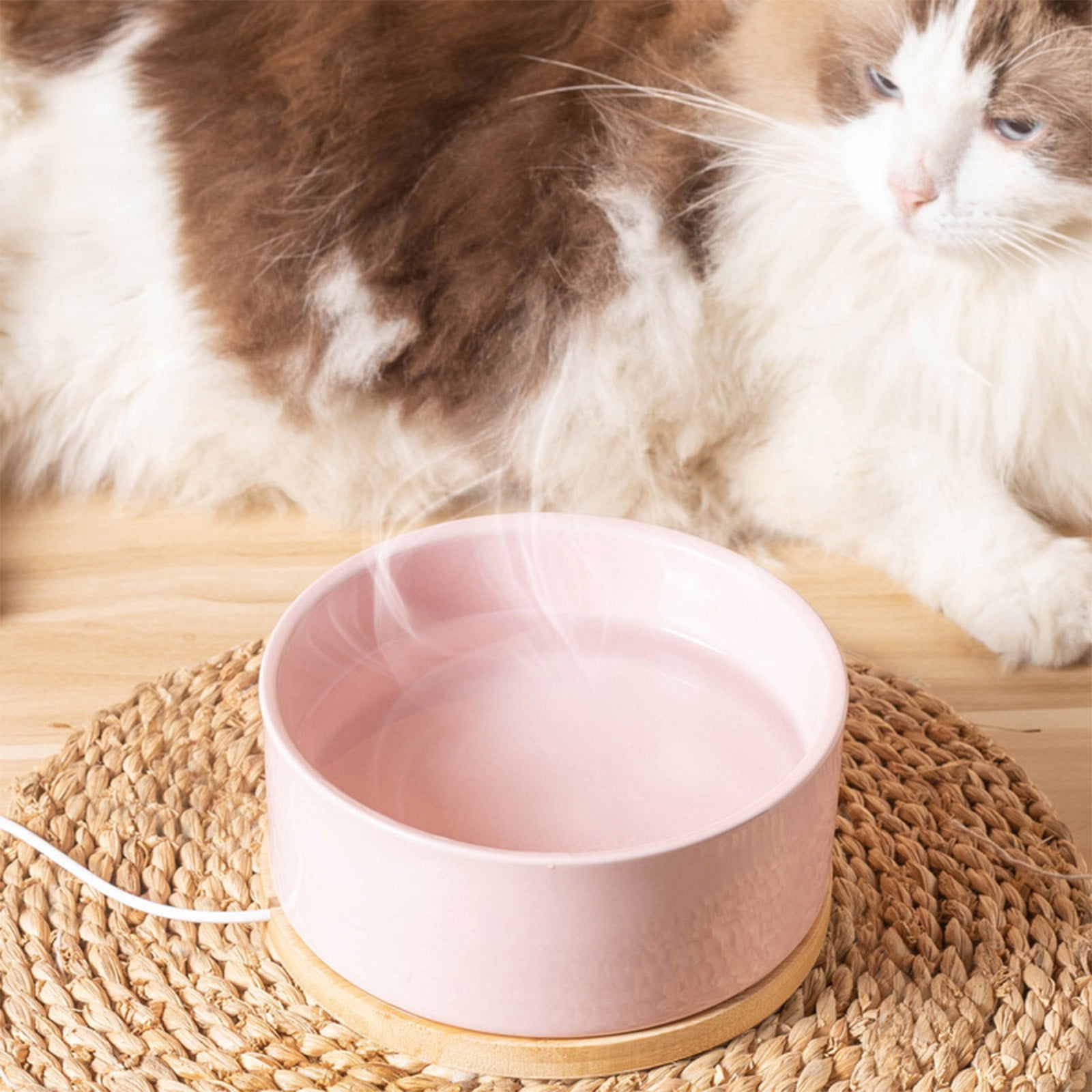 Thermostatic Water Dispenser Ceramic Pet Water Bowl With USB Heating Is Perfectly For Winter Use R