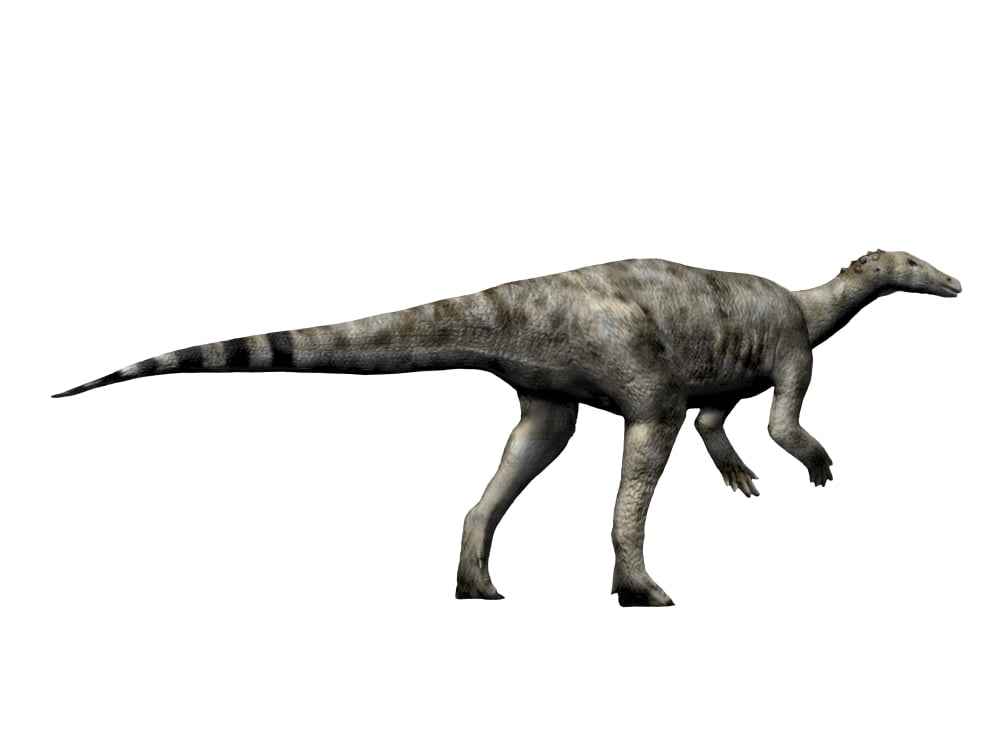Thescelosaurus dinosaur Canvas Art - Nobumichi TamuraStocktrek Images (17 x 13)