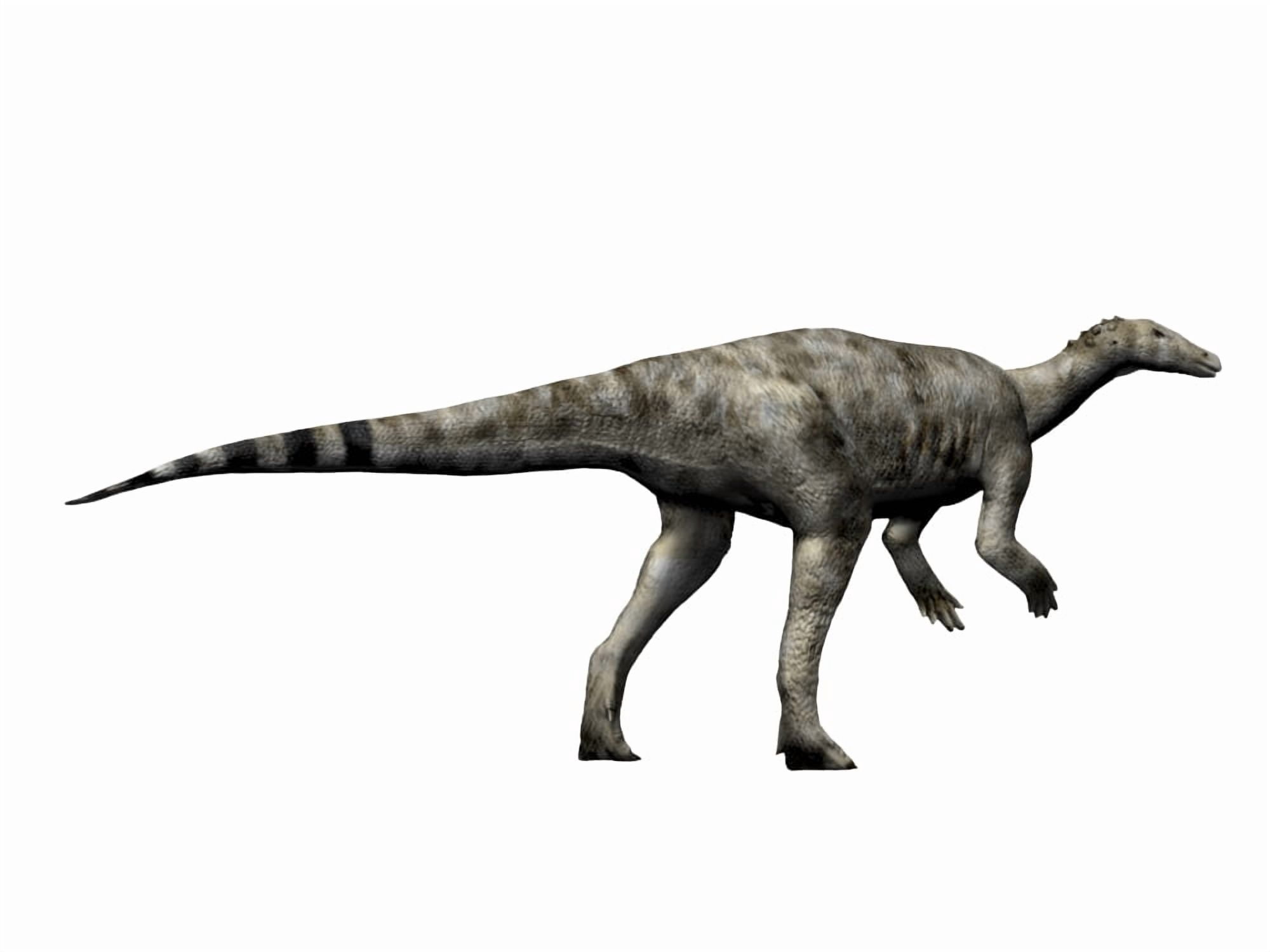 Thescelosaurus dinosaur Canvas Art - Nobumichi TamuraStocktrek Images (33 x 25)