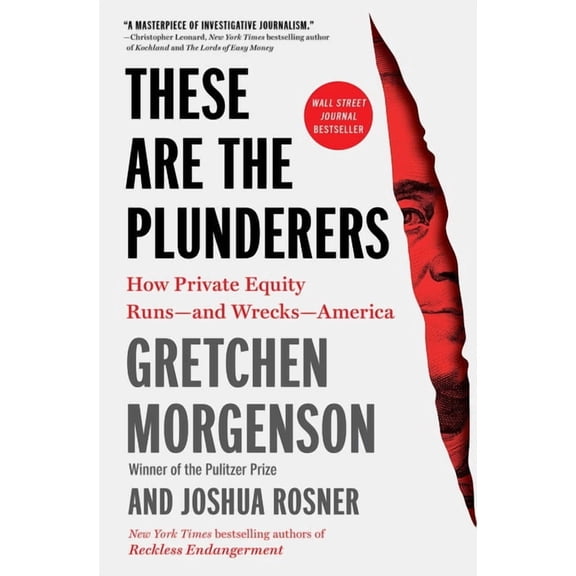These Are the Plunderers: How Private Equity Runs -- And Wrecks -- America, (Paperback)