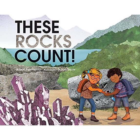 Pre-Owned These Rocks Count! (Hardcover) 0807578703 9780807578704