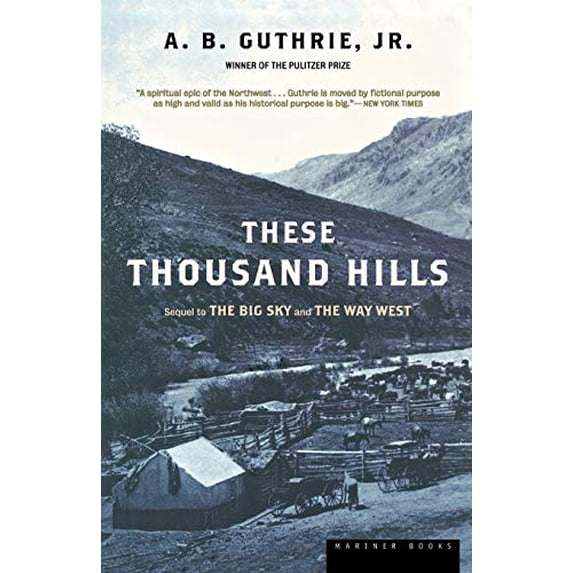 Pre-Owned These Thousand Hills (Paperback) 9780395755204