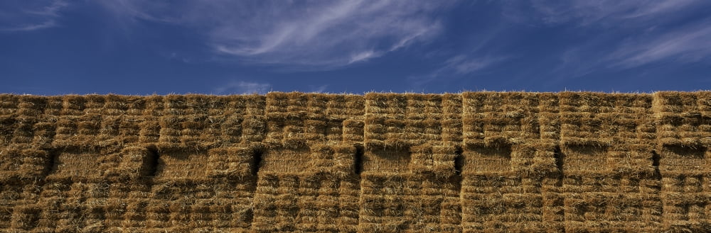 These are rectangular hay stacks piled up against a blue sky Canvas Art - Panoramic Images (36 x 12)