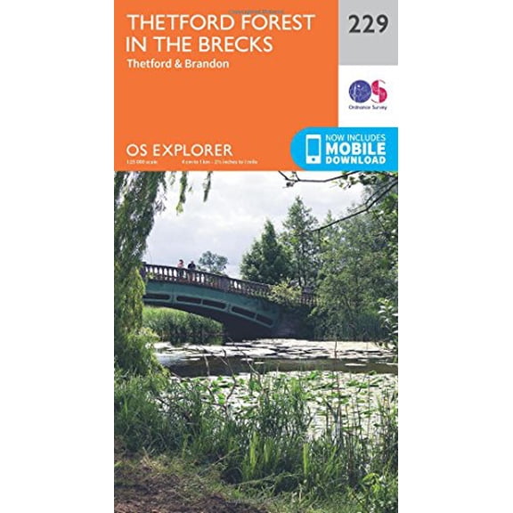 Thetford Forest In The Brecks
