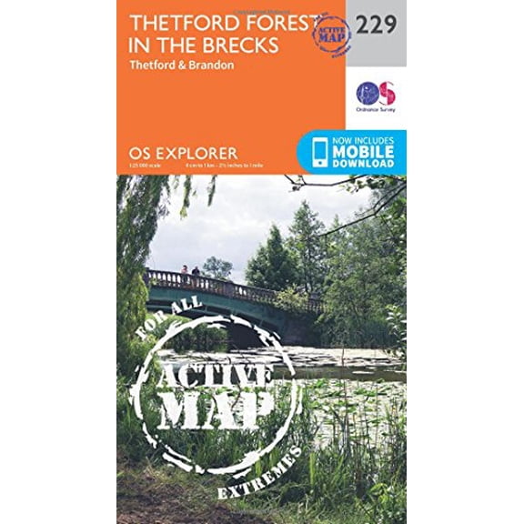 Thetford Forest In The Brecks