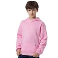 thumbnail image 1 of Thetops Toddler 3-4 T Cotton Hoodie, Soft Breathable Pullover with Kangaroo Pocket, Machine Washable, Pink, 1 of 6