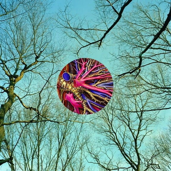 They Might Be Giants - Glean - Rock - Vinyl