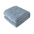 thumbnail image 1 of Thick Blankets for Winter Double Layer Raschel Blanket, Blue Polyester Soft and Thick Warming Blanket for Bed for Sofa Other Scenes, 1 of 6