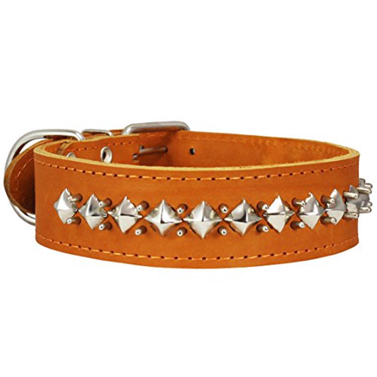 2 Wide Leather Dog Collar Thick Studded Heavy Duty for Large Dogs