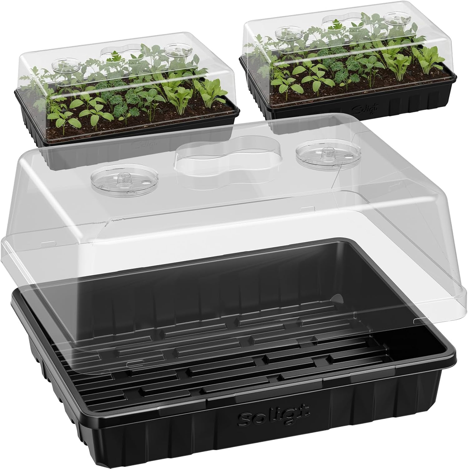 [Thick Plastic] 3-Set Strong Seed Starter Trays with 5" Humidity Domes for Seed Starting, Germination, Seedling Propagation & Plant Growing, Holds 144 Cells in Total