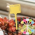 thumbnail image 1 of Thick Plastic Greenery Labels - Garden Markers, T-Type Tags for Outdoor Greenery, Herb Garden, Vegetable Plot - Reusable Identification Stakes, Pack of 12, 1 of 7
