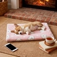 thumbnail image 1 of Thick Warm Pet Sleeping Mat with Soft Polyester Cover and Supportive Filling, All-Season Bed Pad for Cats and Dogs, Crates, Kennels, Floors, Sofas, Carriers, Cars and Travel Rest, Pink, L, 1 of 6