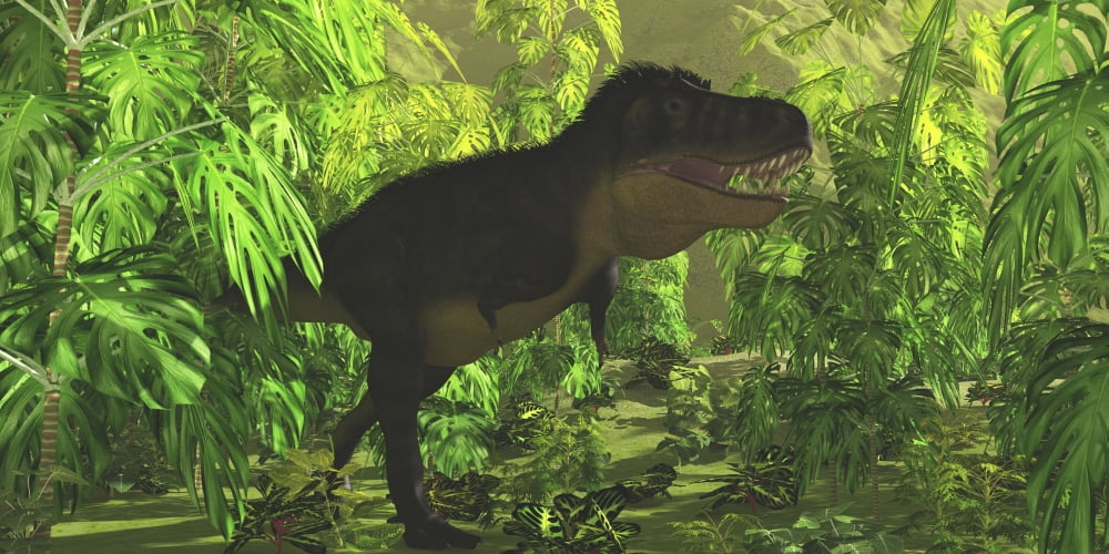 Thick jungle foliage hides a large Tyrannosaurus Rex as he hunts for prey Canvas Art - Corey FordStocktrek Images (20 x 10)