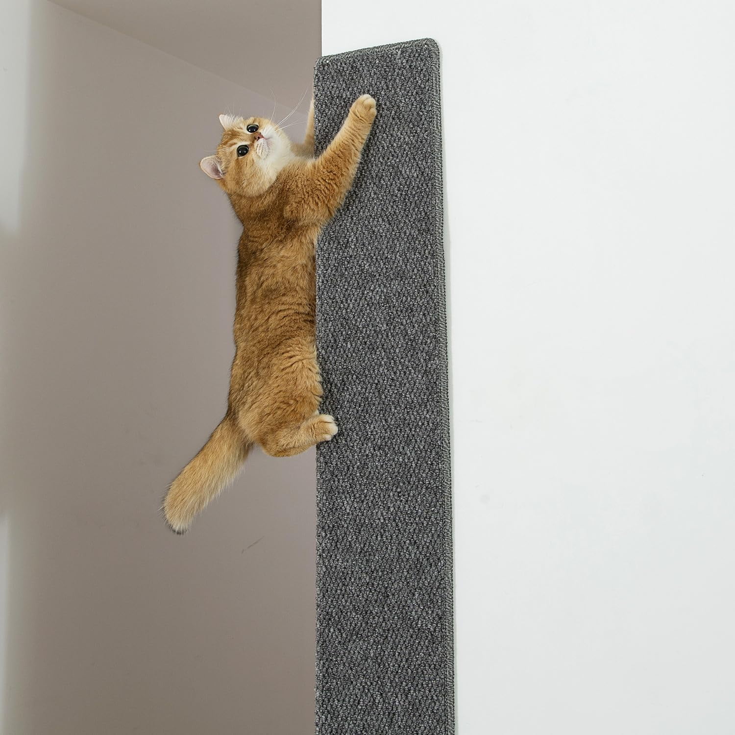 Thickened Cat Wall Corner Climbing Carpet, Cat Wall Furniture, Wall