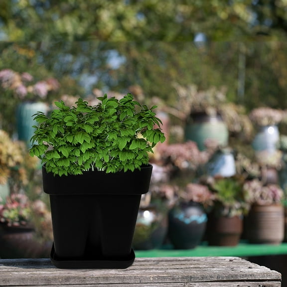 Thickened Fall Silicone Square Planter for Succulents and Garden Pot