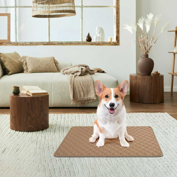 Thickened Pet Urine Pad with Deodorization, Washable and Reusable for Dogs or Cats, Instant Water Absorption, Easy Dry, Odor Control Mat