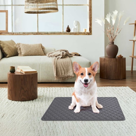 Thickened Pet Urine Pad with Deodorization, Washable and Reusable for Dogs or Cats, Instant Water Absorption, Easy Dry, Odor Control Mat