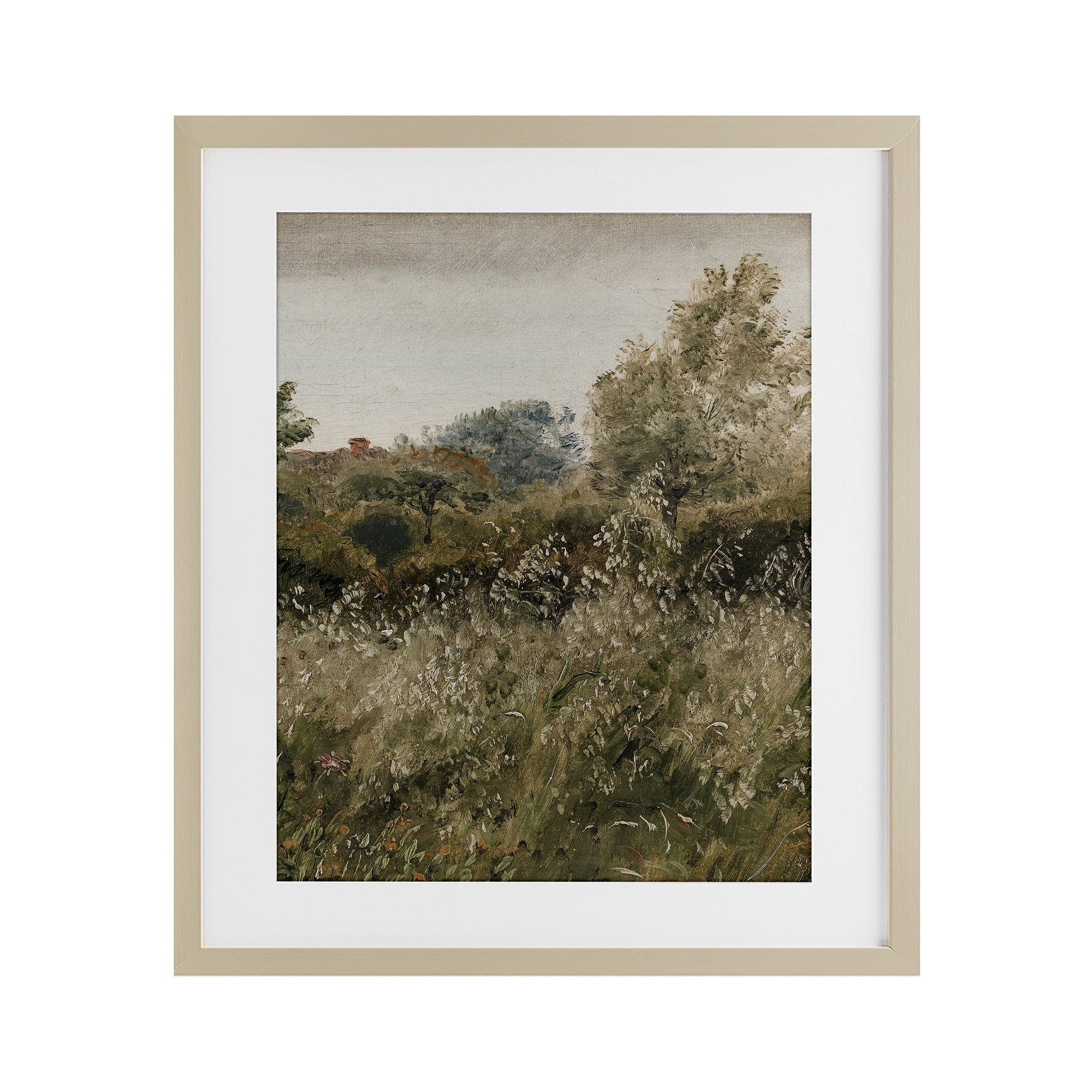 Thicket in Countryside Birch Framed Print Under Glass, design by Lettered and Lined
