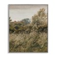 thumbnail image 1 of Stupell Industries Transitional Thicket in Countryside Gray Framed Giclee Art, 24 x 30, by Lettered and Lined, 1 of 8