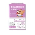 thumbnail image 1 of Thin Absorbent Disposable Dog Training Pads, L Size 60X60Cm 40 Pieces, For Large Medium Small Dogs, 1 of 3