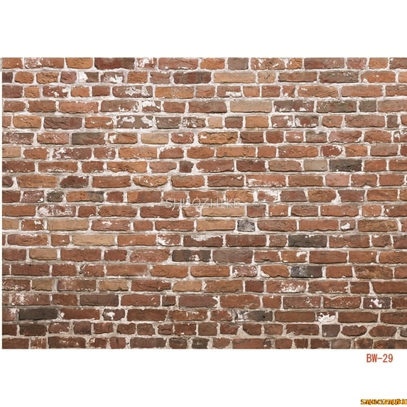 Thin Cloth Antique Brick Wall Photography Backdrops Props Cemt Texture St Theme Photo Studio Background QZ-21