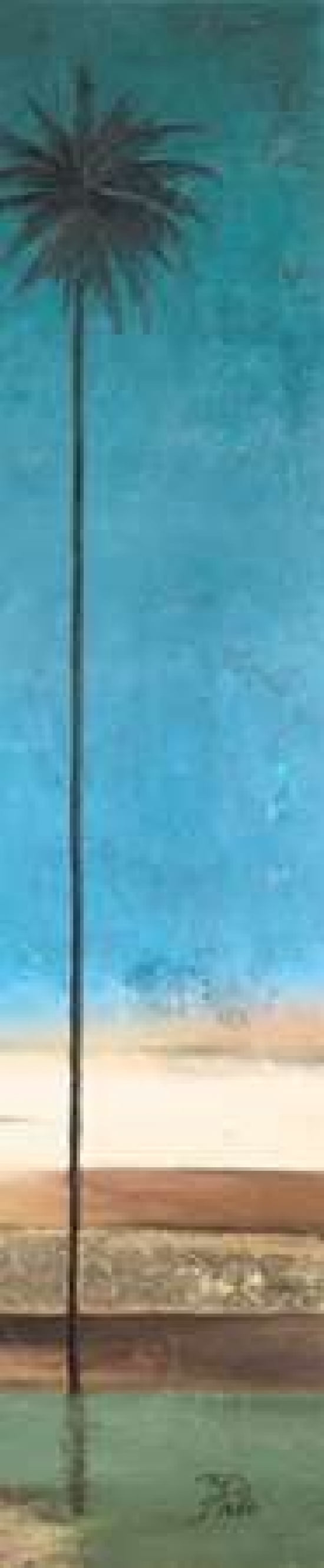 Thin Palms II - In Coastal Colors Canvas Art - Patricia Pinto (8 x 24)
